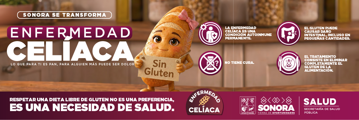 BANNERS-PORTALES-GOB-SON-300x100.png